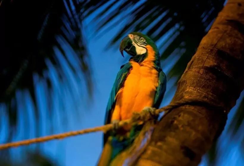 هتل Hyatt Centric Key West Resort & Spa