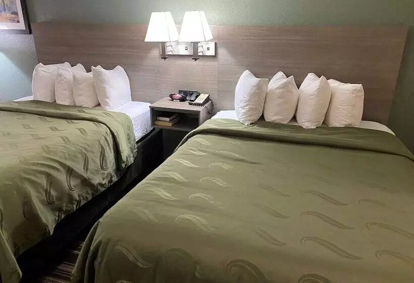 酒店 Quality Inn