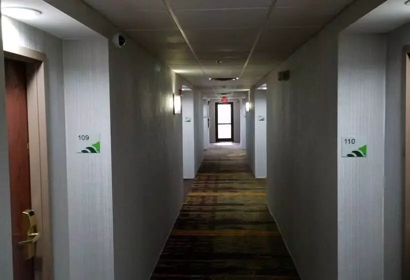 ホテル Wingate By Wyndham Buckhannon