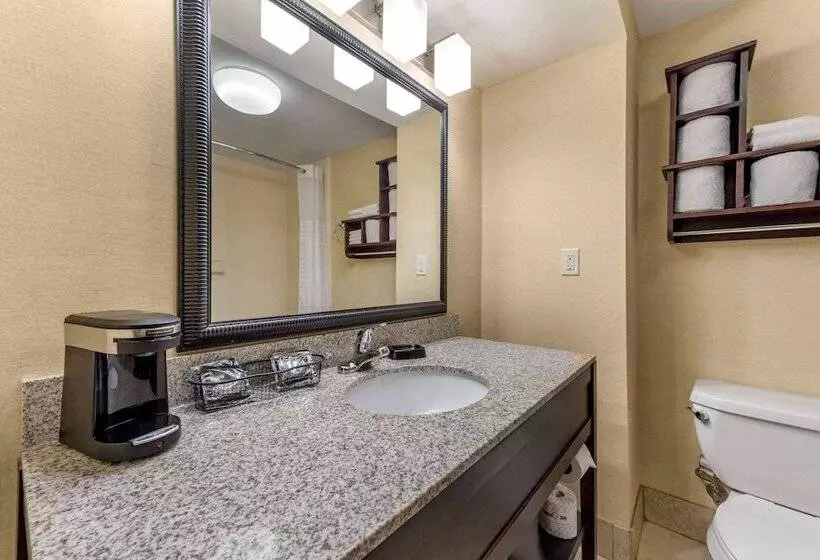 ホテル Wingate By Wyndham Buckhannon