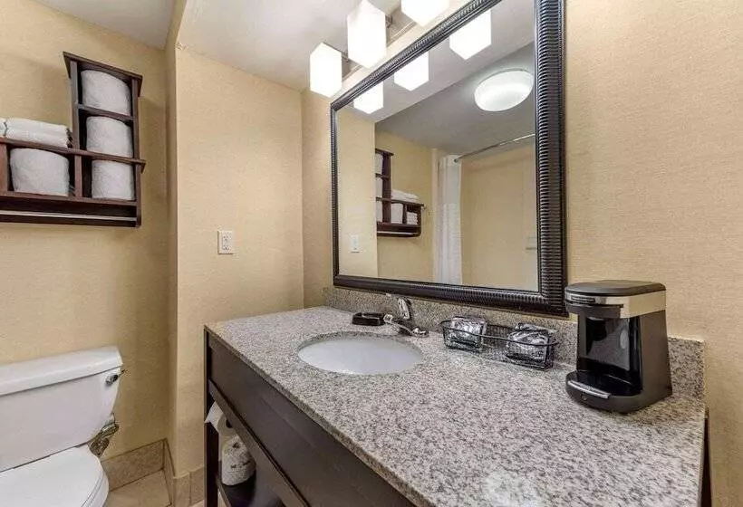 ホテル Wingate By Wyndham Buckhannon