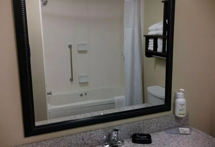 ホテル Wingate By Wyndham Buckhannon