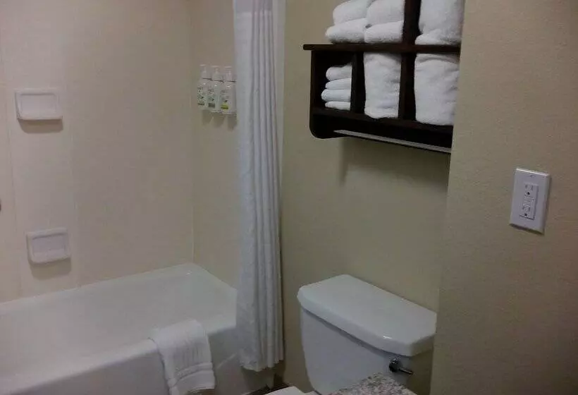 ホテル Wingate By Wyndham Buckhannon