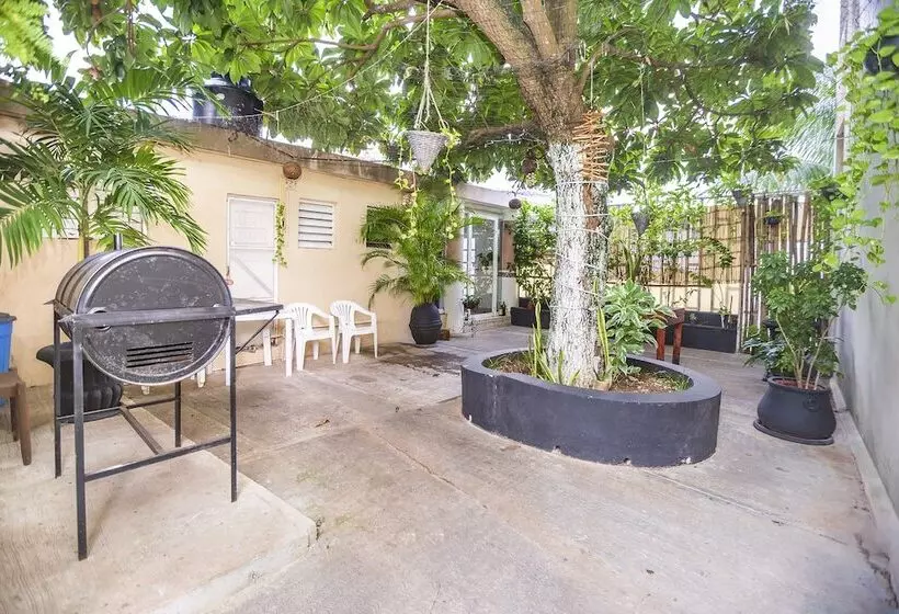 ユースホステル Kiin Cozumel