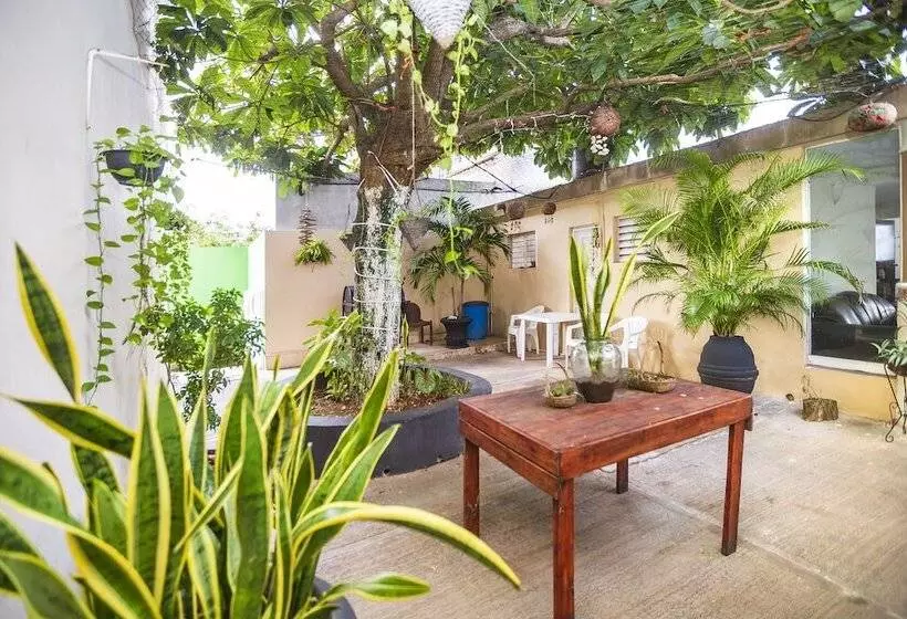 ユースホステル Kiin Cozumel