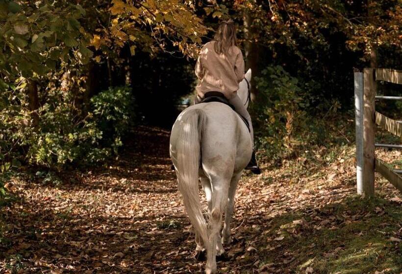 فندق Hôtel Demeures De Campagne Domaine De Maffliers   Paris Val D Oise