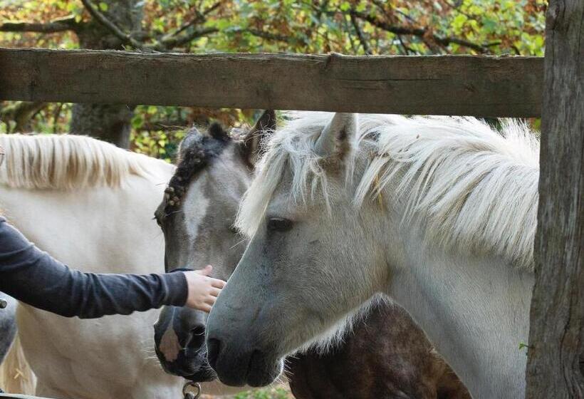 فندق Hôtel Demeures De Campagne Domaine De Maffliers   Paris Val D Oise