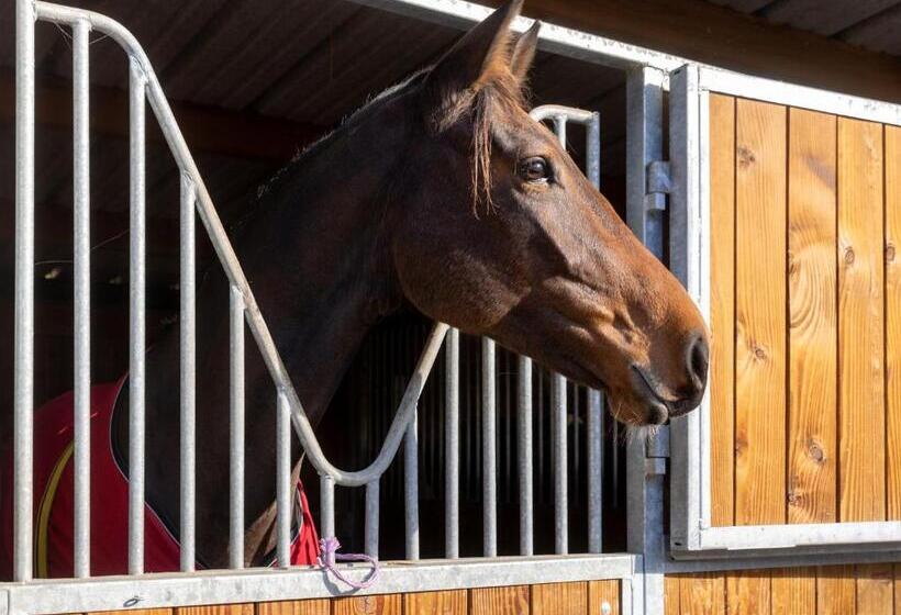 فندق Hôtel Demeures De Campagne Domaine De Maffliers   Paris Val D Oise