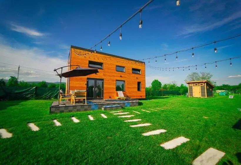 ペンション Tiny House   Baia De Fier