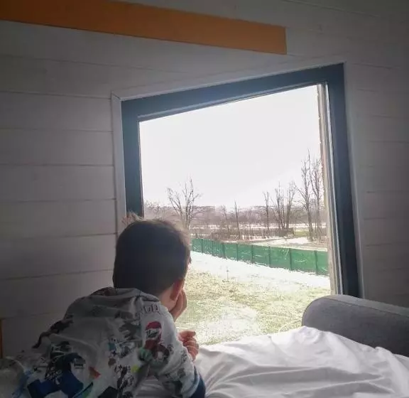 ペンション Tiny House   Baia De Fier