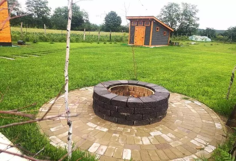 ペンション Tiny House   Baia De Fier