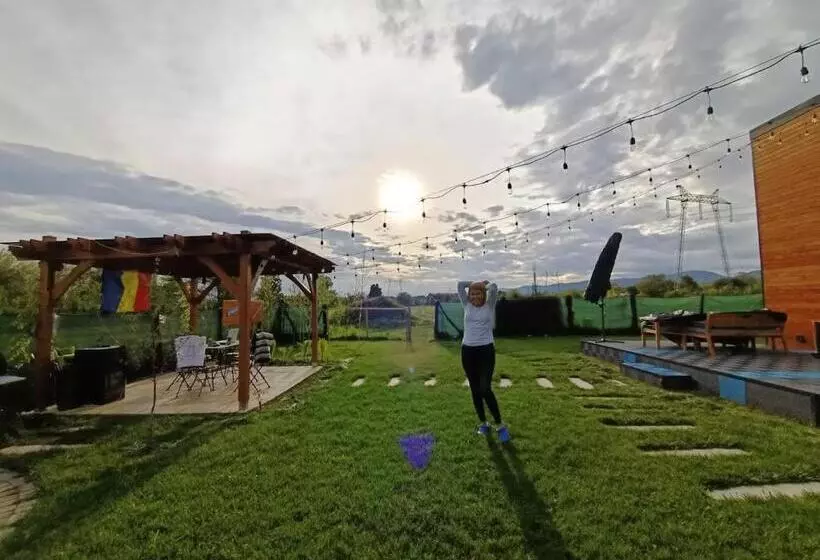 ペンション Tiny House   Baia De Fier