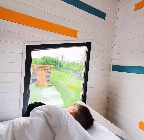 ペンション Tiny House   Baia De Fier