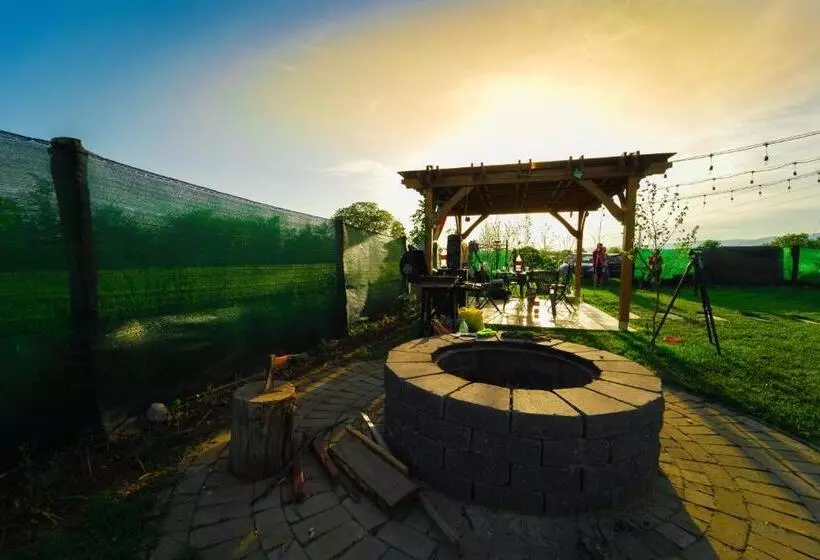 ペンション Tiny House   Baia De Fier