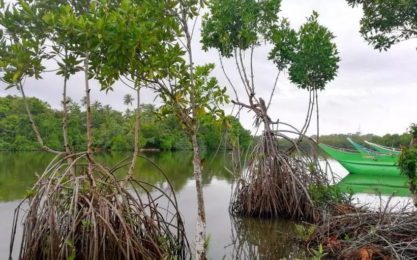Aamiaismajoitus (B&B) Lake Paradise