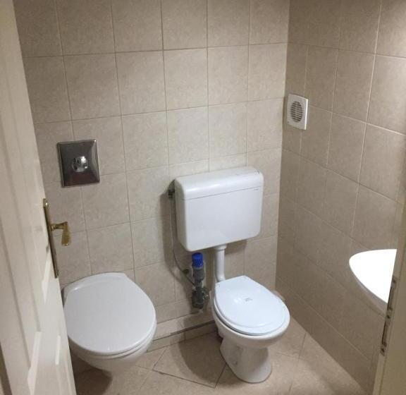 민박 Vulkán Wellness Panzió