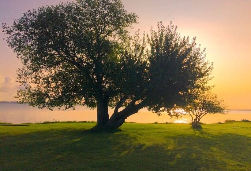 בית מלון כפרי Camp Ven