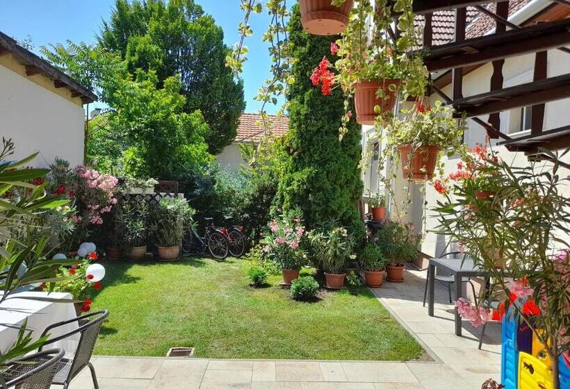 بنسيون Aranka Apartman