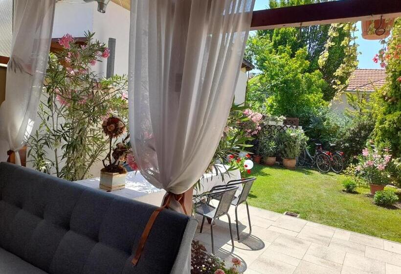 بنسيون Aranka Apartman