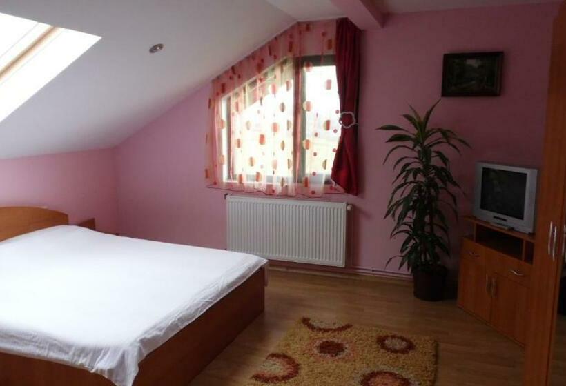 ペンション Casa Miruna