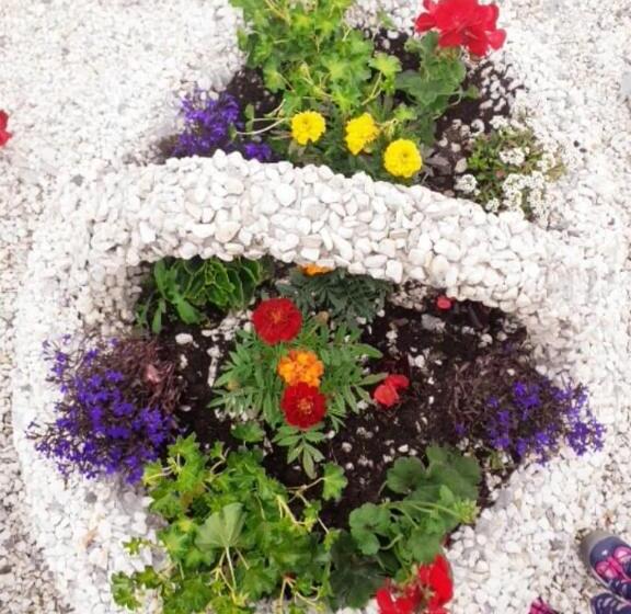 ペンション Casa Miruna