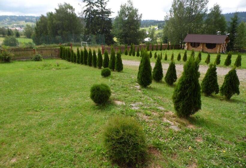 ペンション Casa Miruna