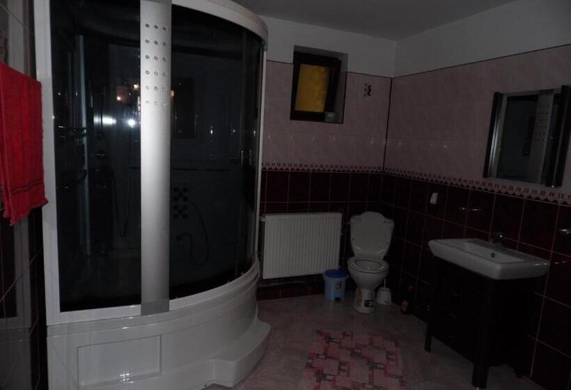 ペンション Casa Miruna