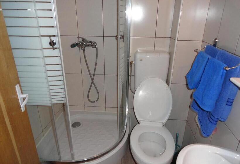 Pensiunea Mikelis International