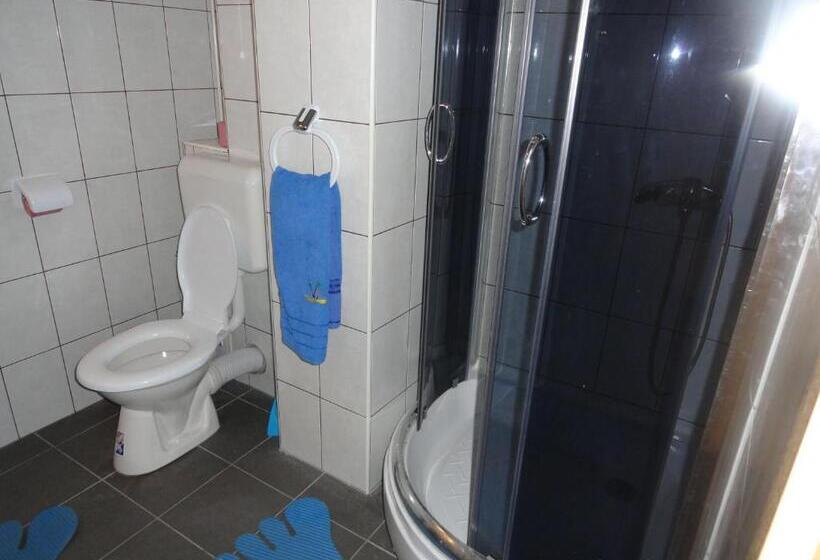 Pensiunea Mikelis International