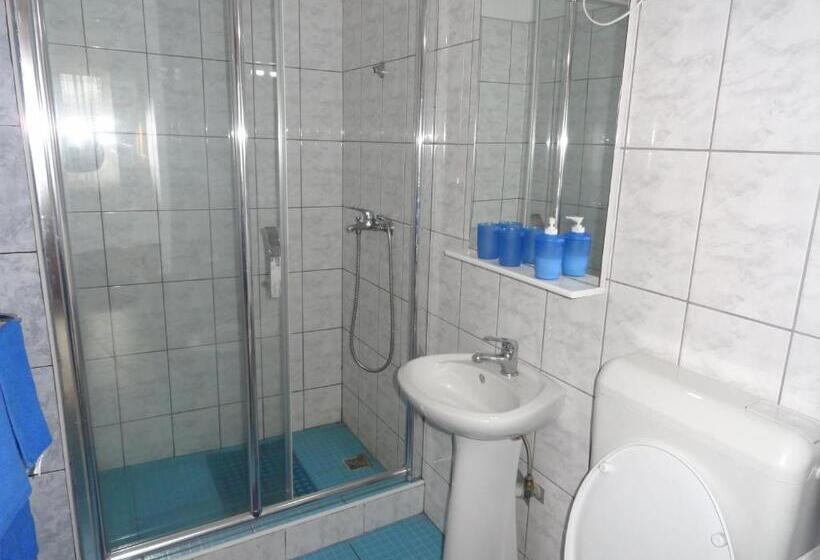 Pensiunea Mikelis International