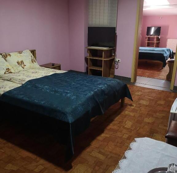 Pensiunea Mikelis International