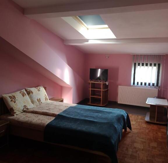 Pensiunea Mikelis International