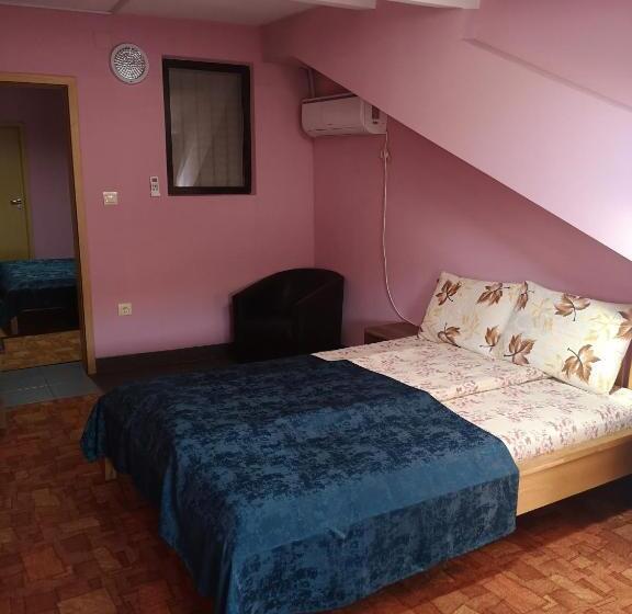 Pensiunea Mikelis International