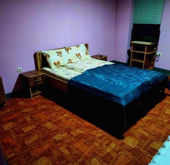 Pensiunea Mikelis International