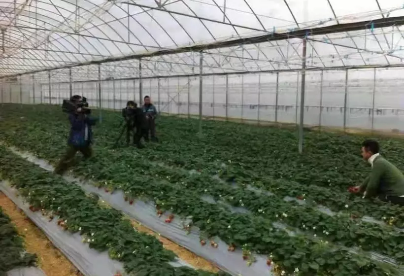 Lomakeskus Southeastern Flying Tiger Manor