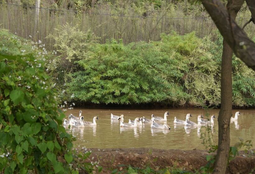 אתר נופש Southeastern Flying Tiger Manor