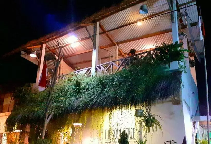 Retkeilymaja The Bodhi Tree Karimunjawa