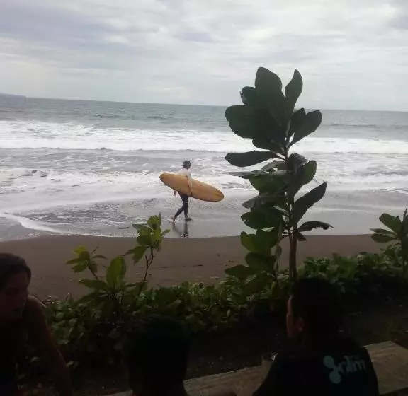 Hospedaria D'jarwo House