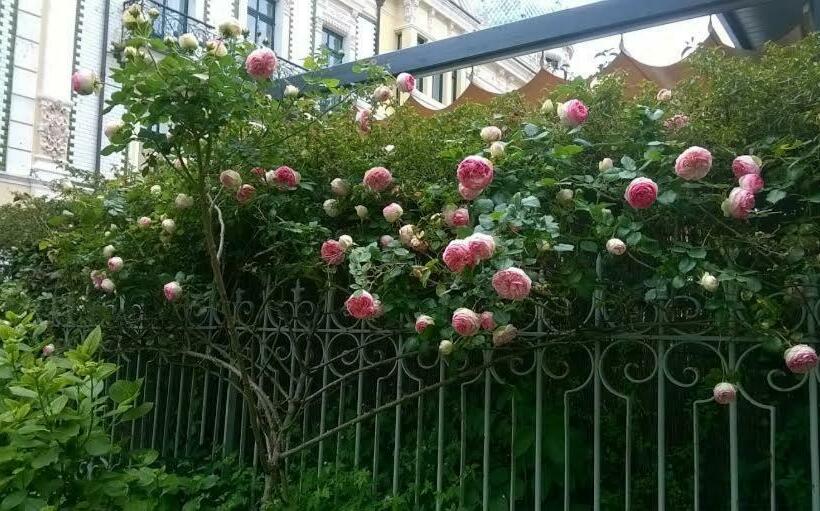 Albergue La Casona Del Peregrino