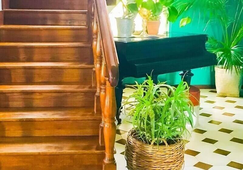 住宿加早餐 La Maison Gatta