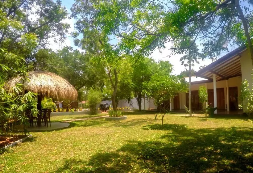 ベッドアンドブレックファースト The Tamarind Resort Yala