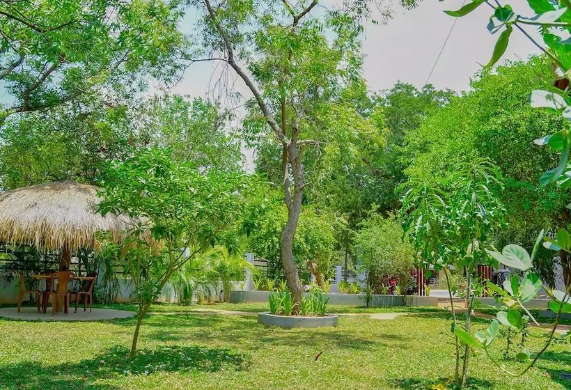 ベッドアンドブレックファースト The Tamarind Resort Yala
