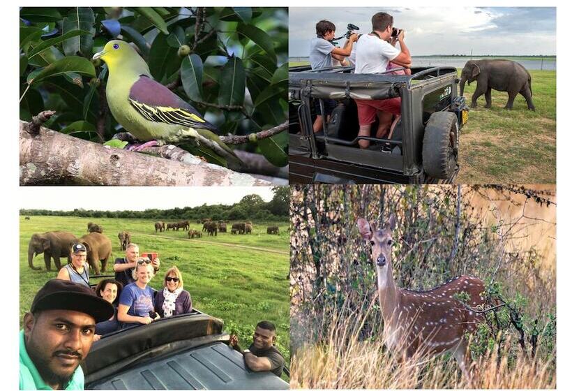 ホテル The Senaro Holiday Inn