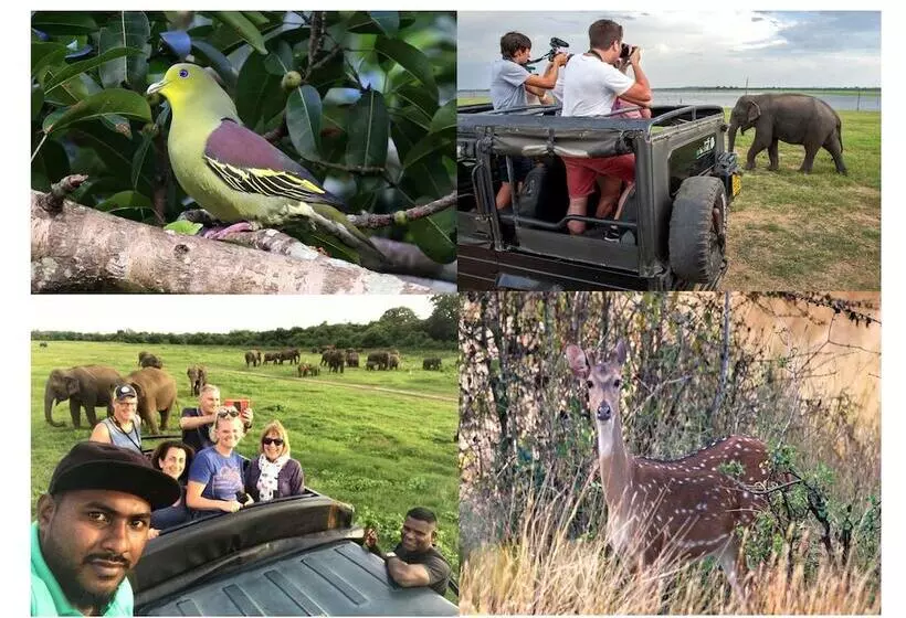 Hotelli The Senaro Holiday Inn