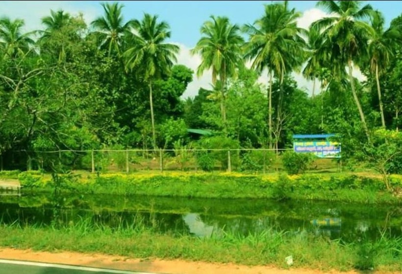 ホテル The Senaro Holiday Inn