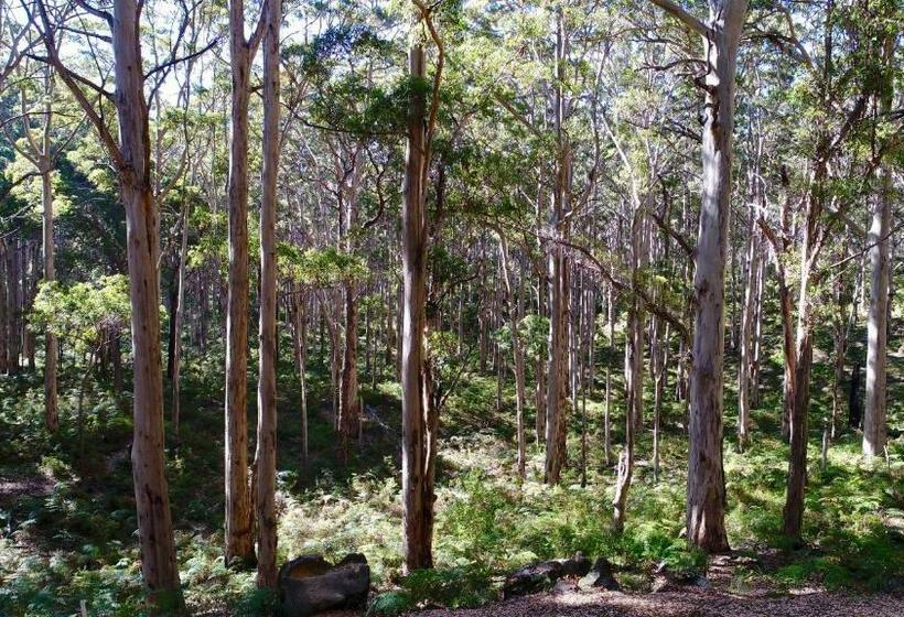 Margaret River Beach Apartments