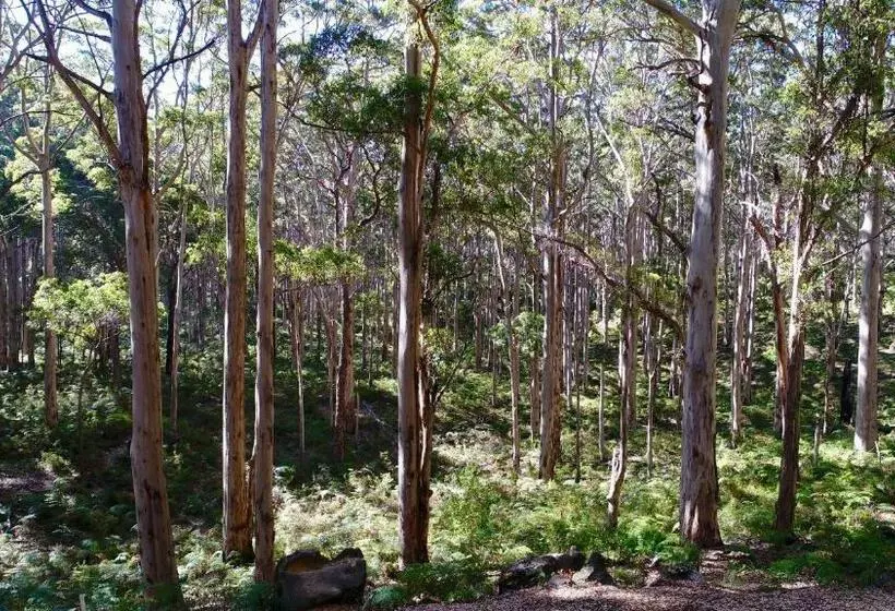 Margaret River Beach Apartments