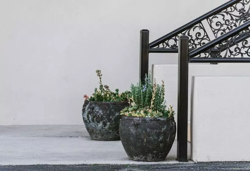 モーテル Inverell Terrace Motor Lodge