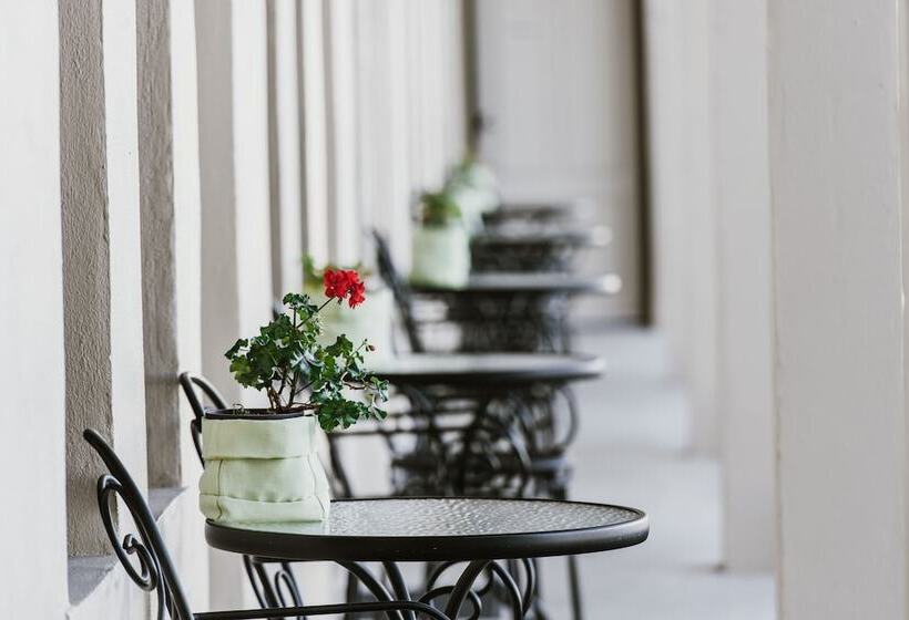 モーテル Inverell Terrace Motor Lodge