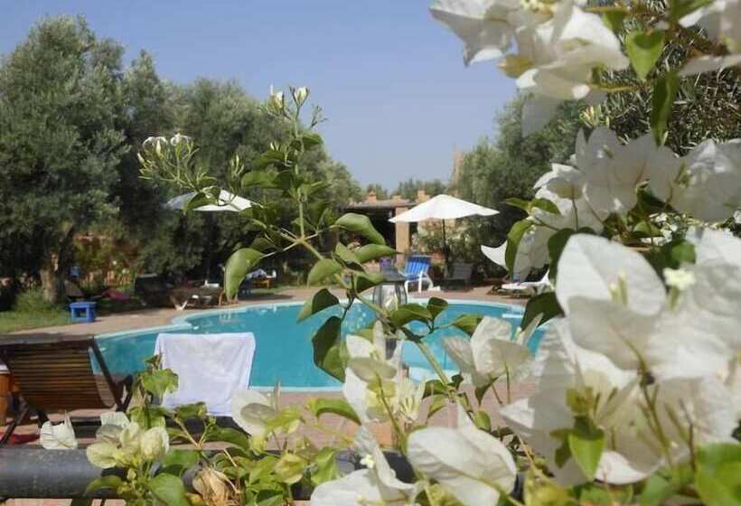 بنسيون Dar Achorafa